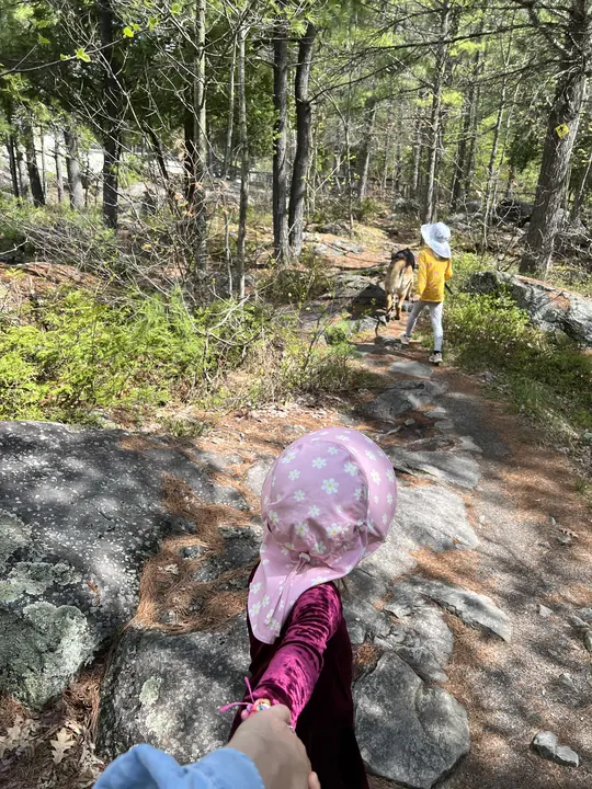 Deux enfants et leur chien sur un sentier de forêt