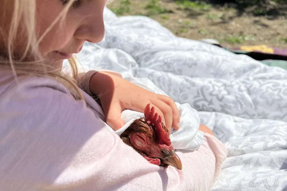 Enfant fier de sa cr&eacute;ation